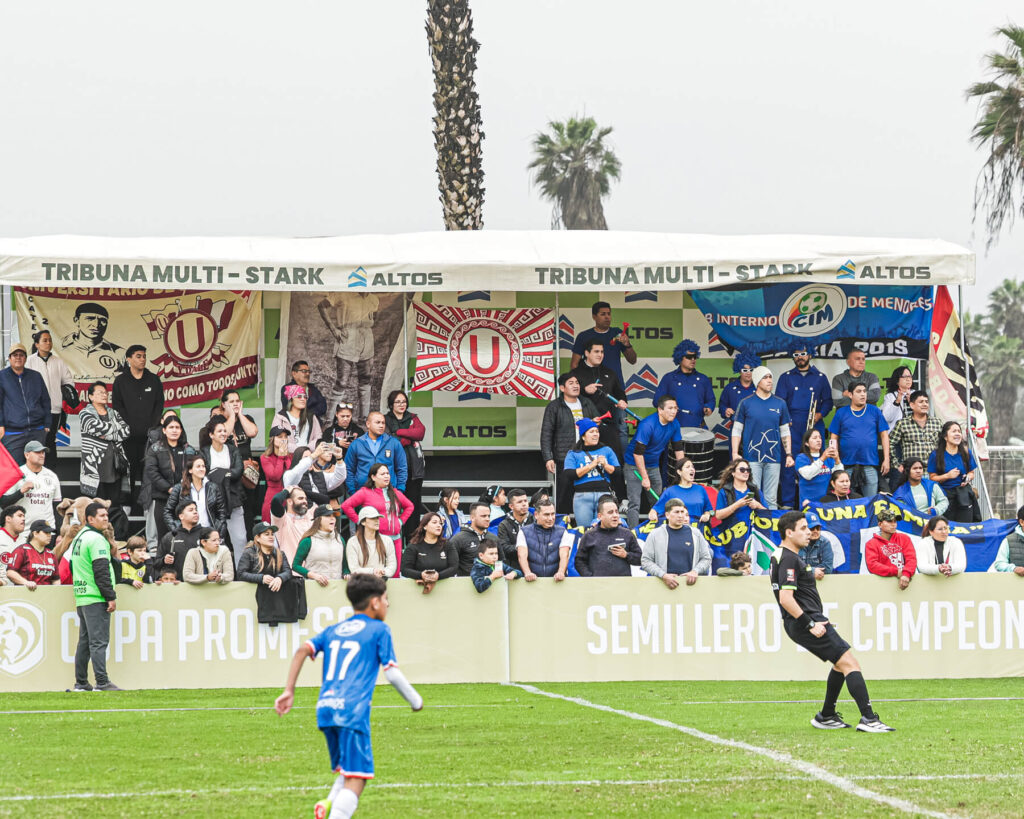 Torneo by Sofascore, Copa Promesas