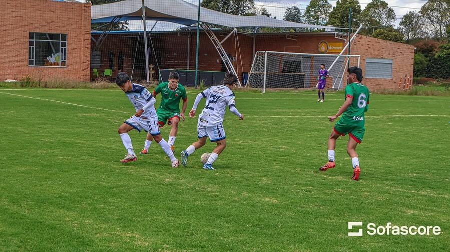 Dimenor, Torneo by Sofascore