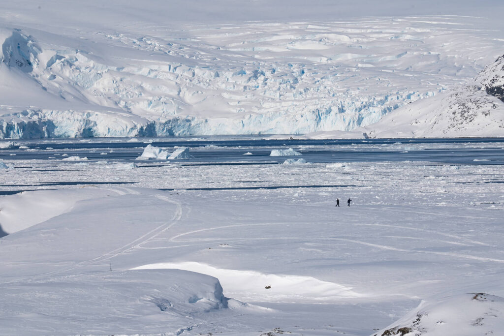 Sofascore in Antarctica