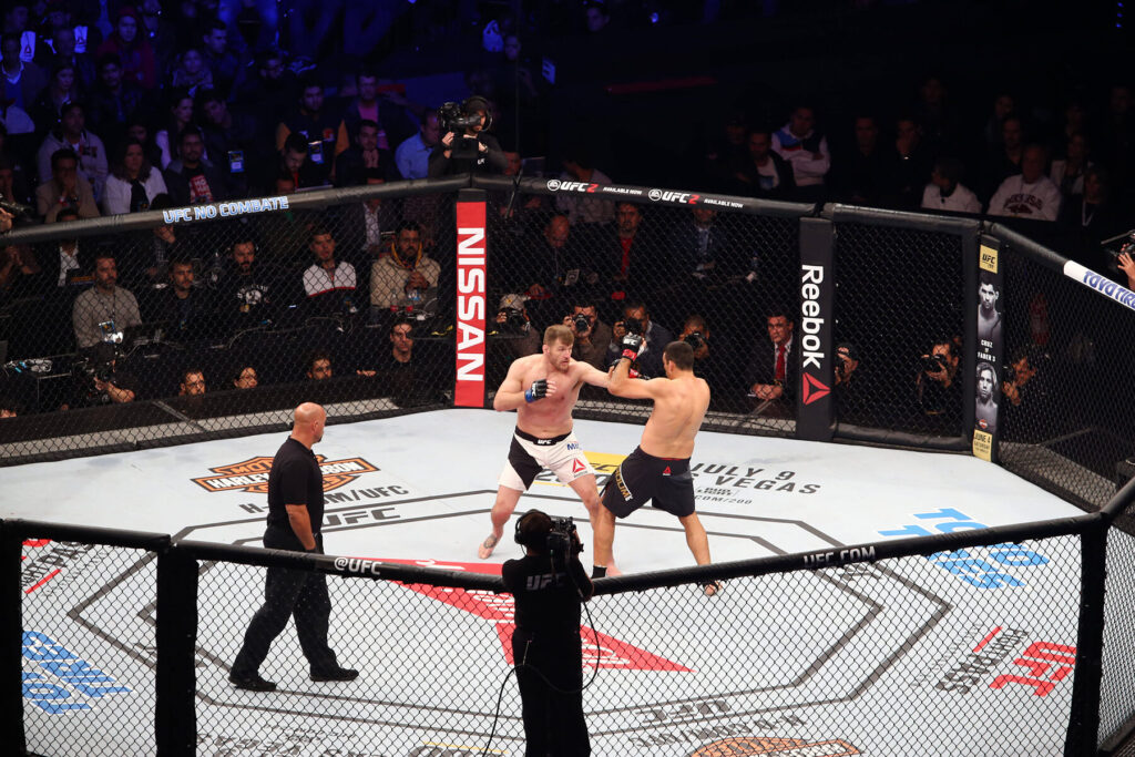 Stipe Miocic, Fabrizio Werdum, UFC