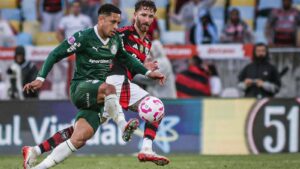 Flamengo e Palmeiras são protagonistas na reta final do Brasileirão